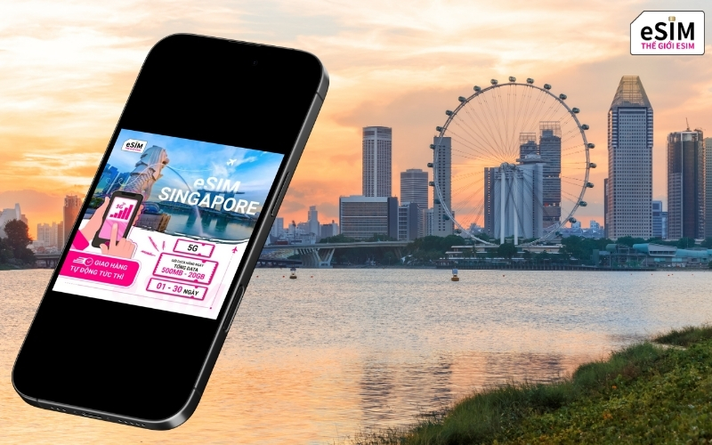 3. eSIM singapore.jpg